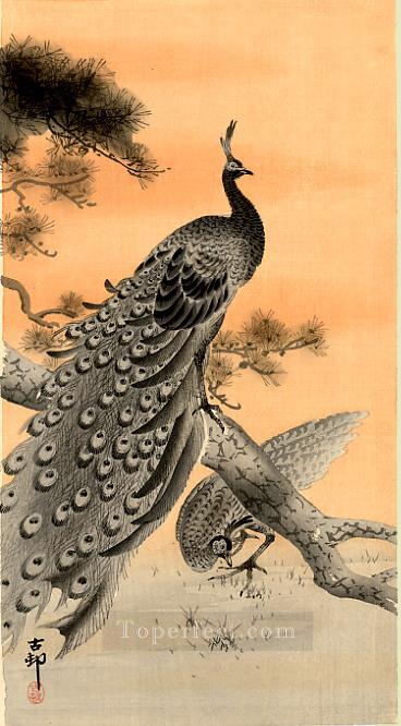 peacock and hen Ohara Koson Japanese Oil Paintings